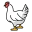 halal chicken laval