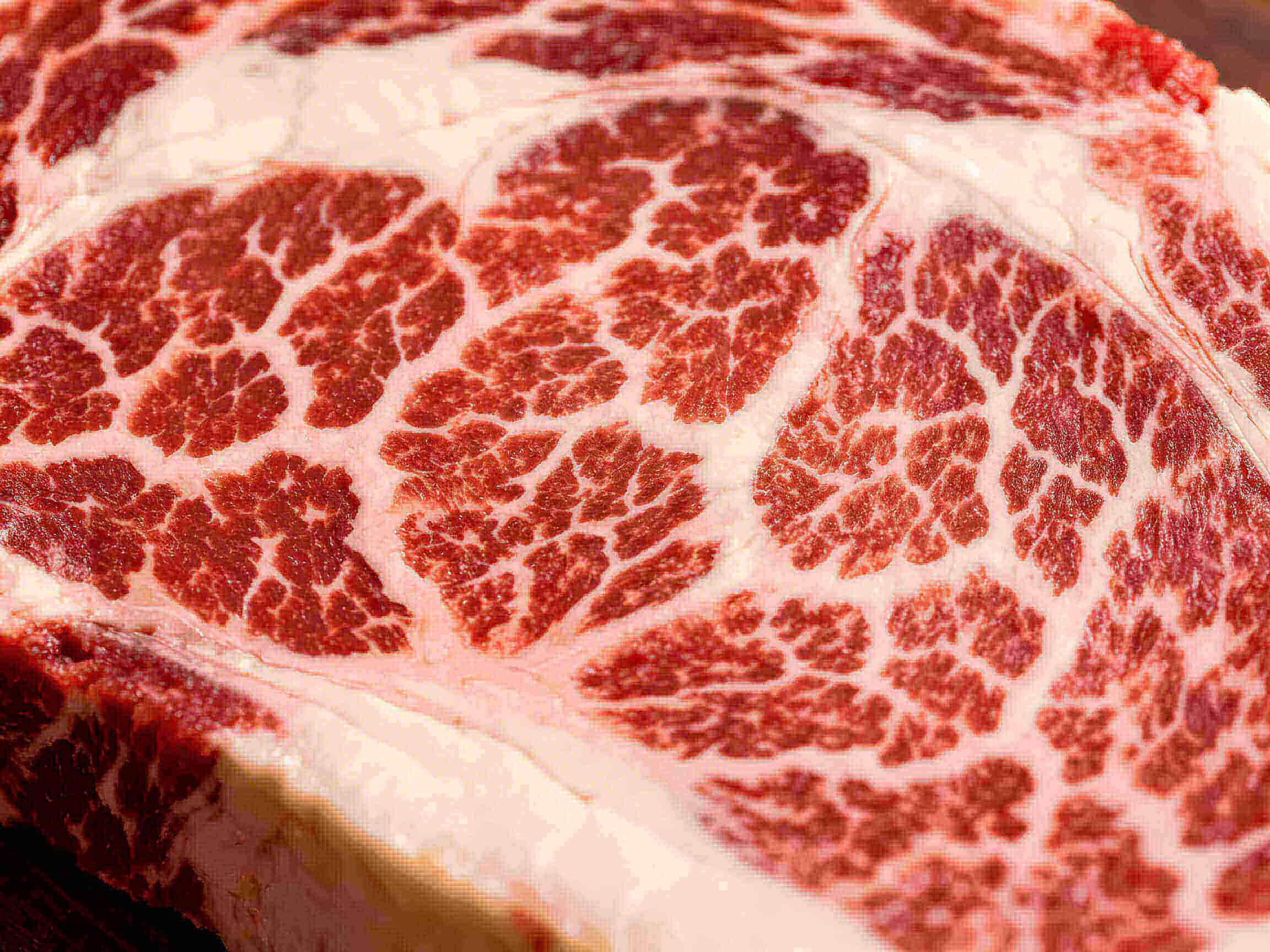 Gros plan du persillage riche dans un steak ribeye Angus Certifié