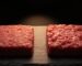 Lean and medium ground beef patties side by side on a dark slate surface showing fat content difference – Boucherie Beirut Laval